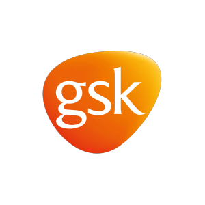 Mesa de trabajo 1logos gynser